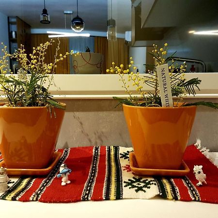 Central Luxury Apartment Tiran Dış mekan fotoğraf