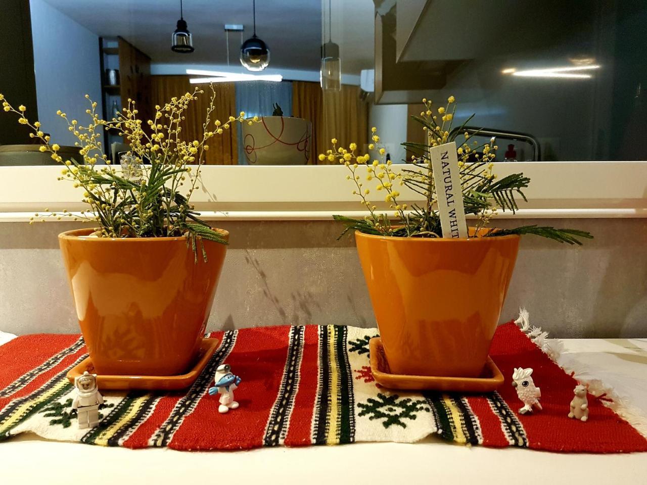 Central Luxury Apartment Tiran Dış mekan fotoğraf